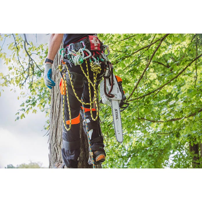 cbc19149-5cfb-4137-b4ad-08dd7dabaef6