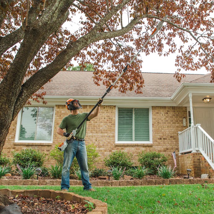 66b3209b-1945-4bf2-2c45-08dd7c40de14