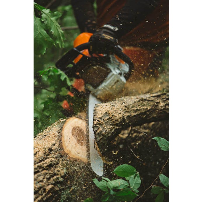 523cc8dd-1024-4b6a-929d-08dd96d0d69d